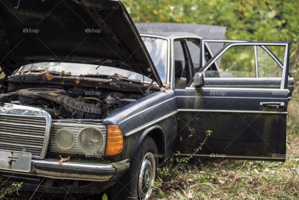 Greenland abandoned amusement park