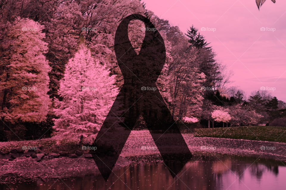 brest cancer awareness month. lost a few people to brest cancer.