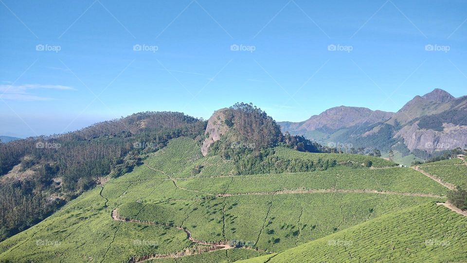 “Choose only one master—nature.” –