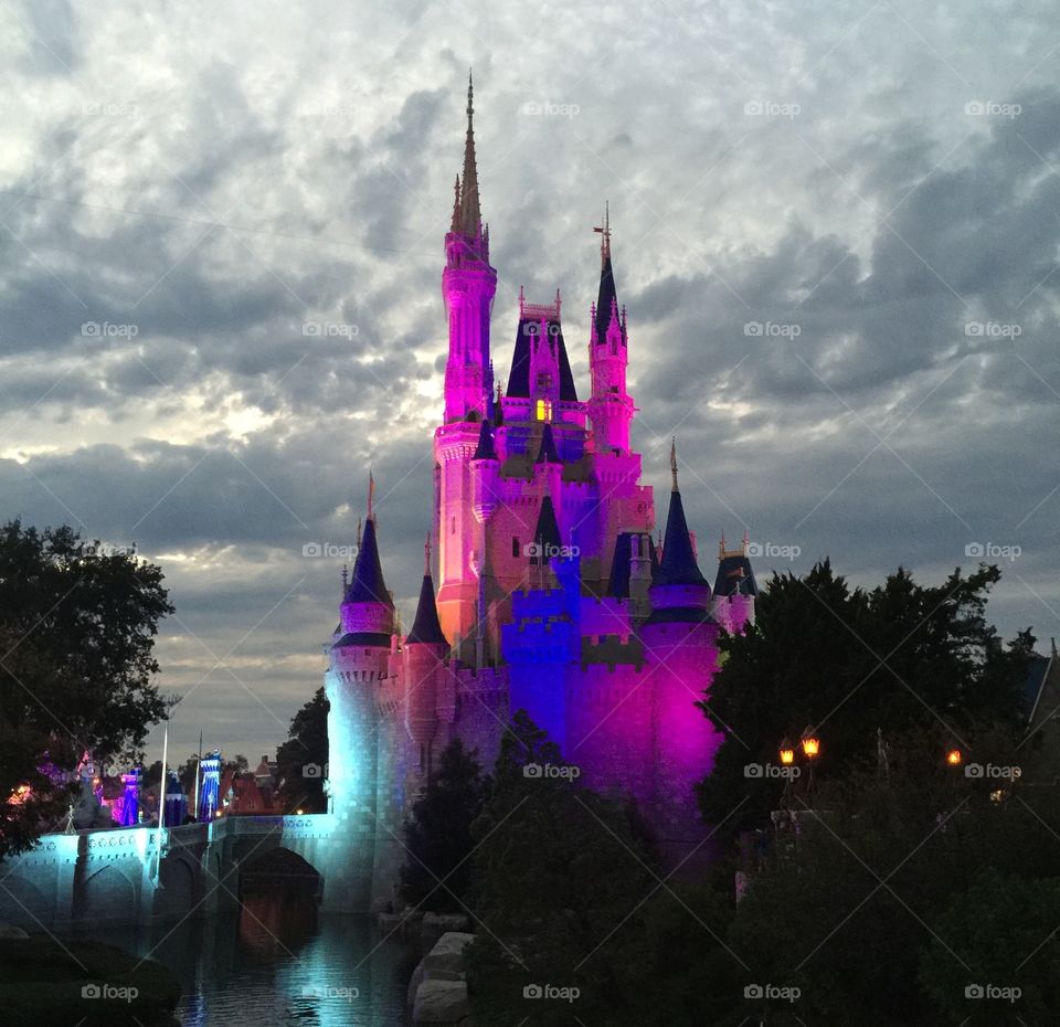 Magic Kingdom Castle. Walt Disney World