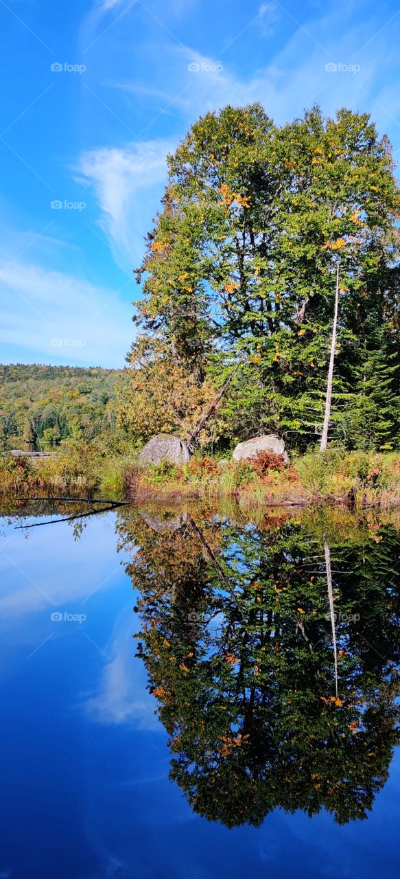 Reflection of autumn.