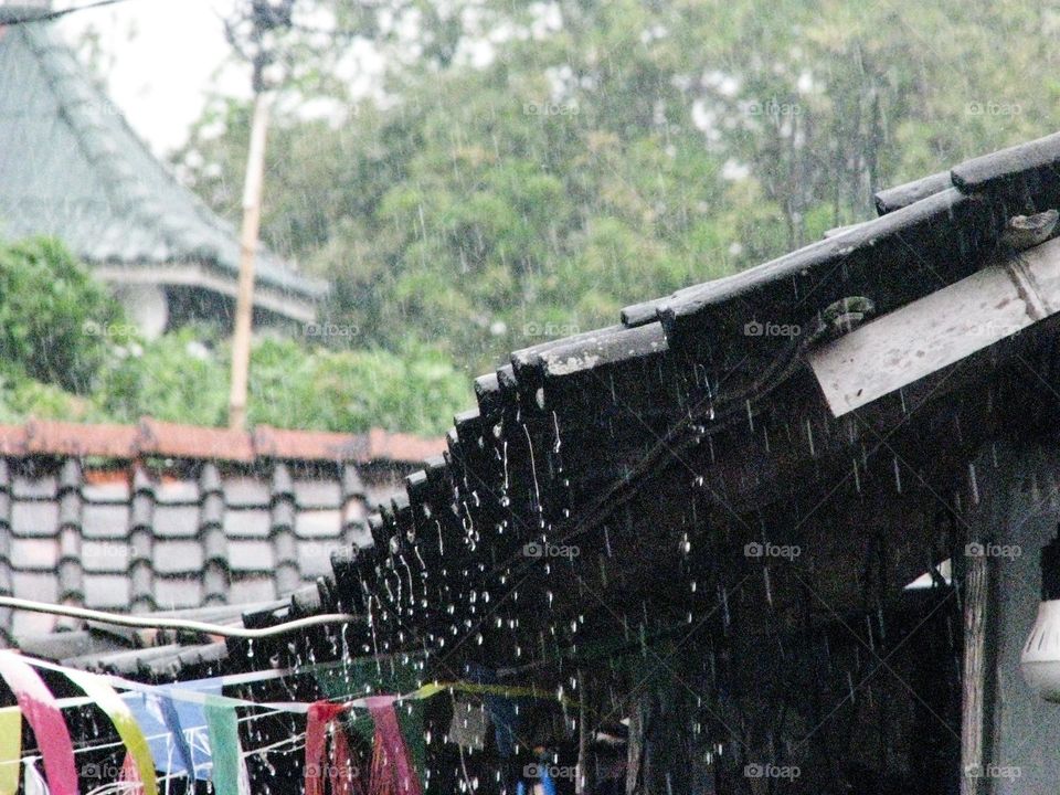 Close-up of the rain drop on roof