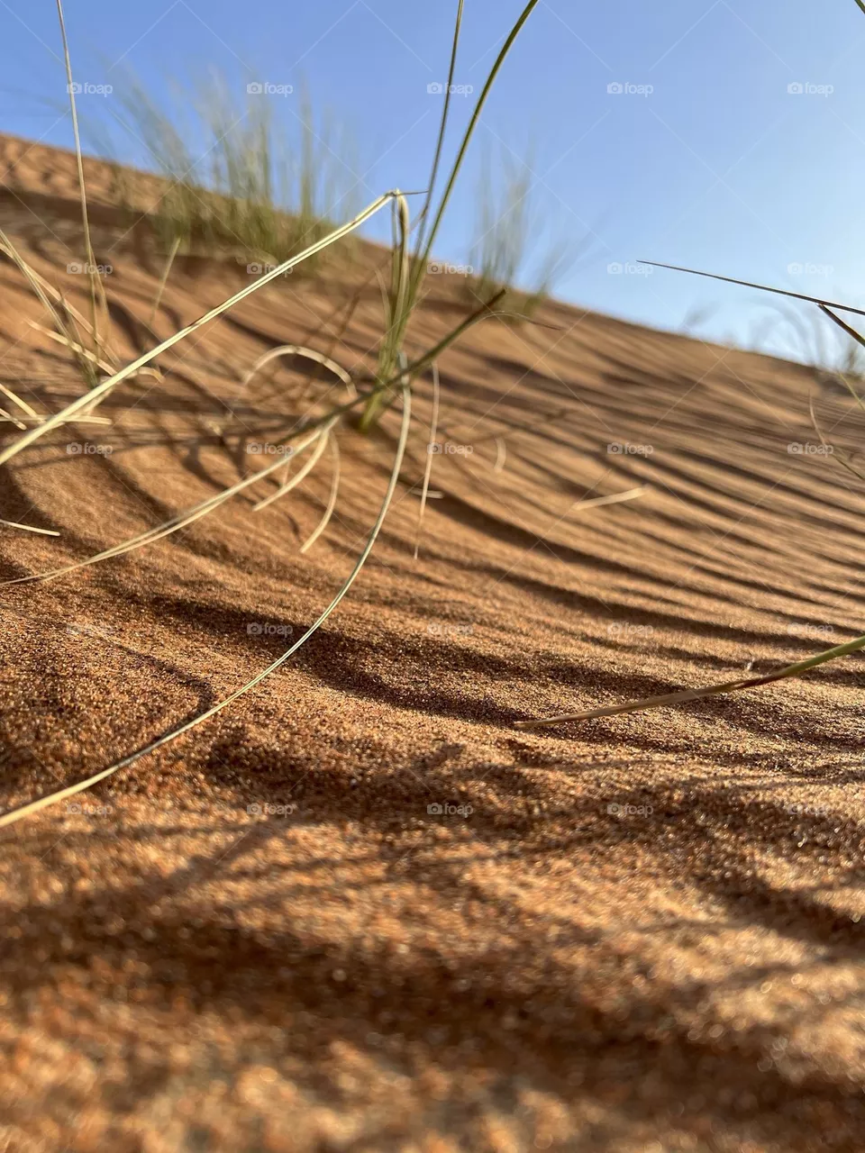 Sand dunes 