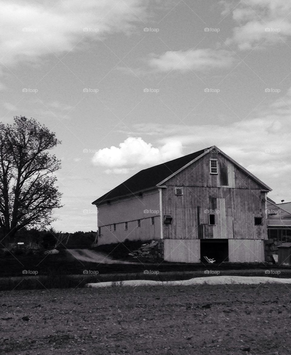 Old barn