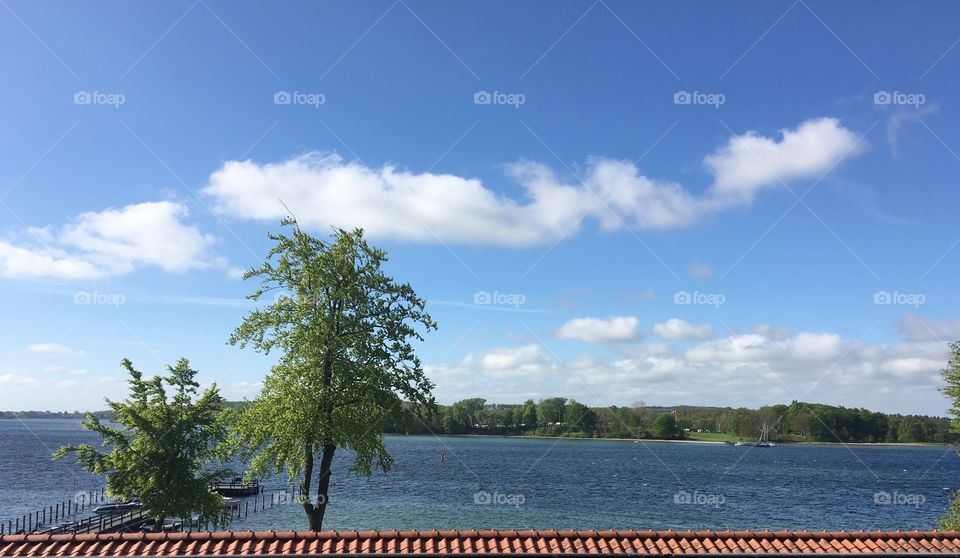 Water, Tree, No Person, Landscape, Outdoors