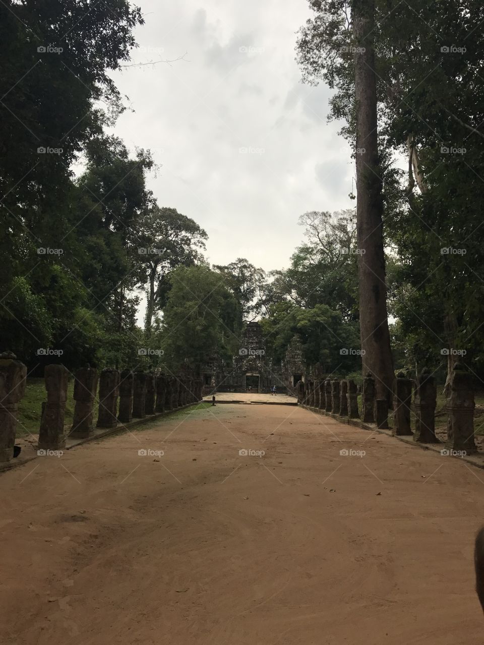 Pathway to the temple 