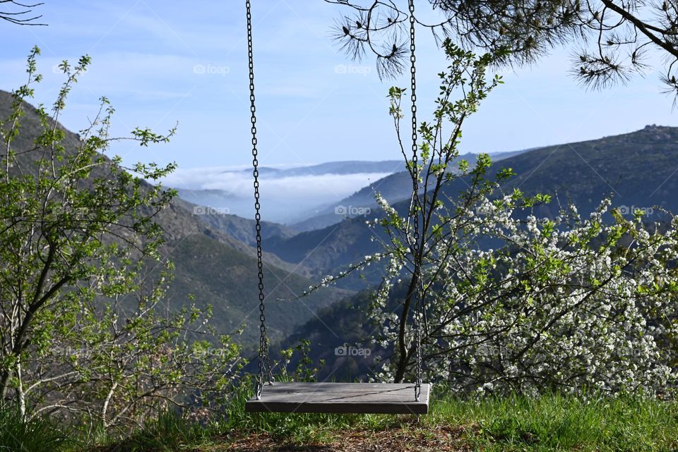 swing with a view