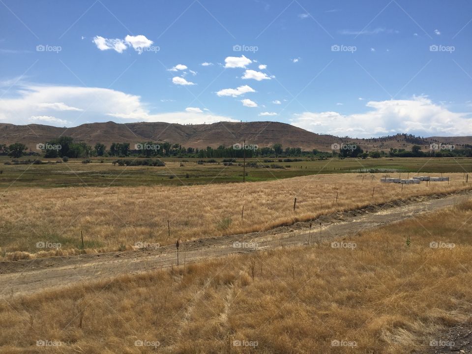 Landscape, No Person, Agriculture, Cropland, Sky