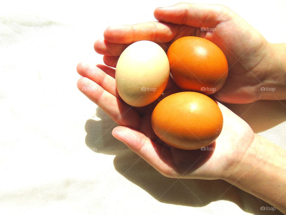 eggs and hands