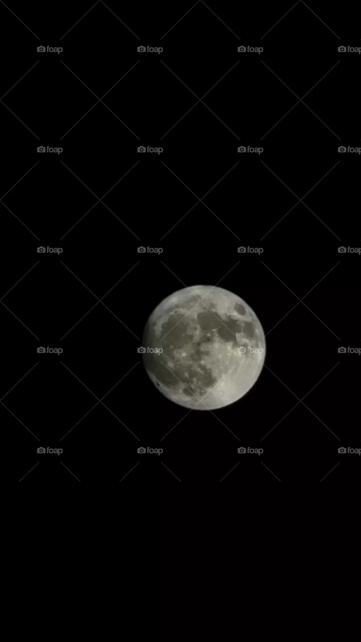 Night Sky