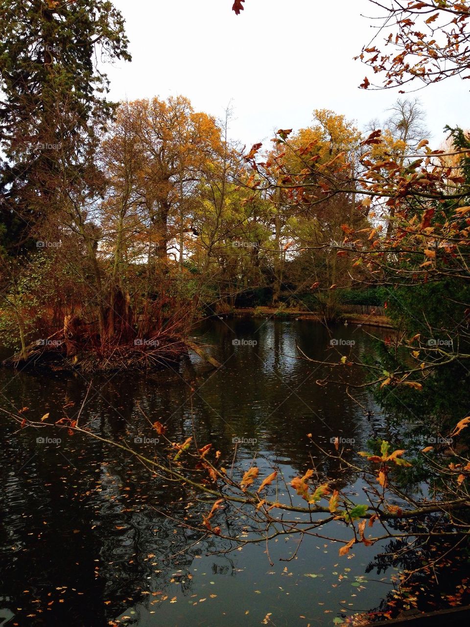 Lake in Autumn