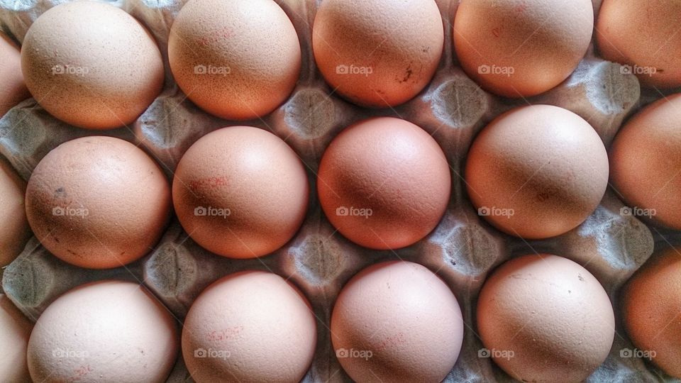 eggs