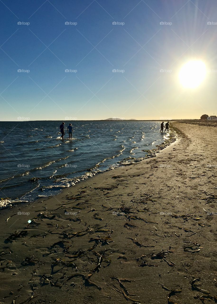 Glistening golden hour, two couples walking and wading along seashore and beach 