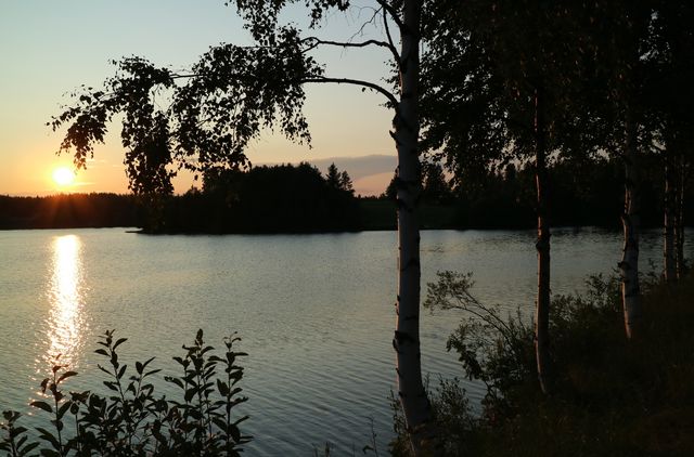 Midnight sun