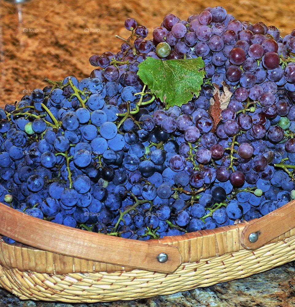 Concord grapes