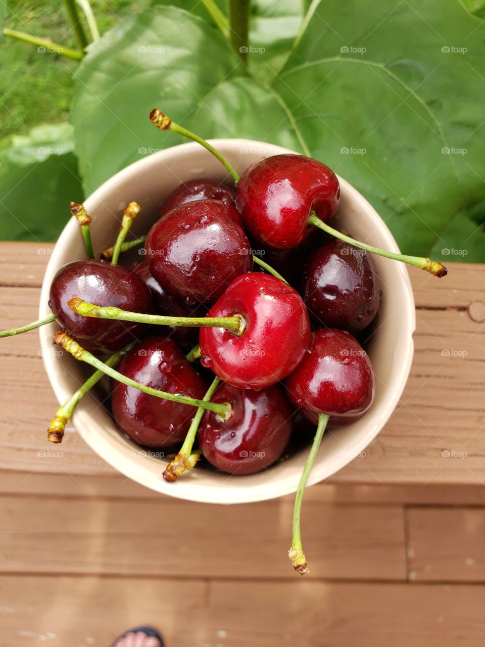 Juicy delicious cherries