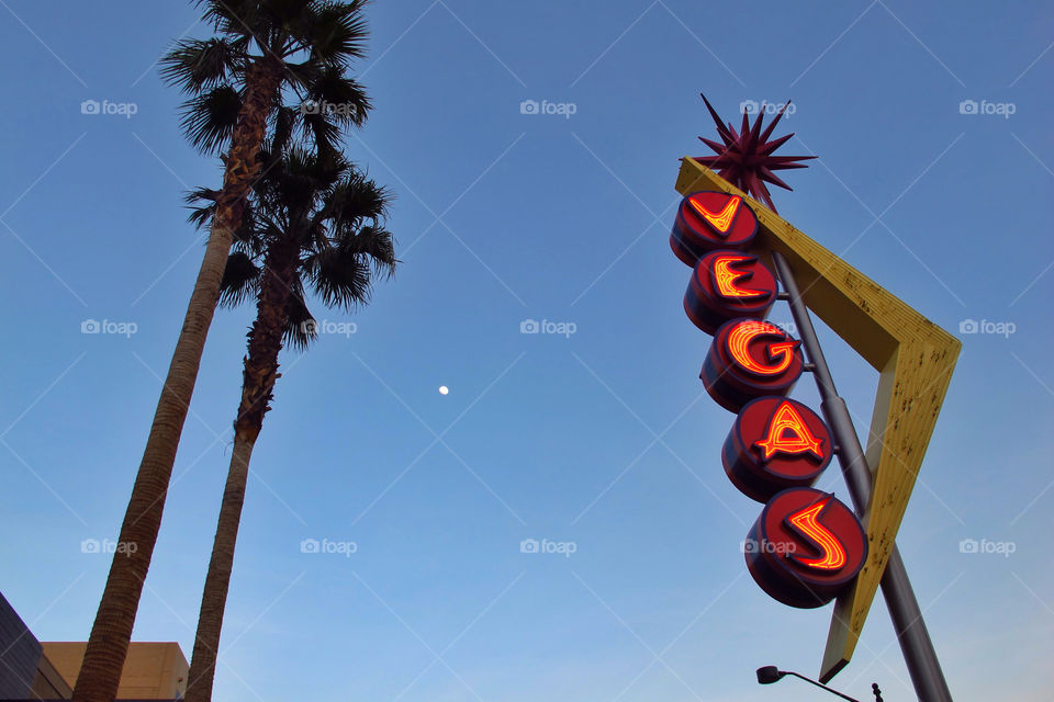 street sign summer palm by javidog