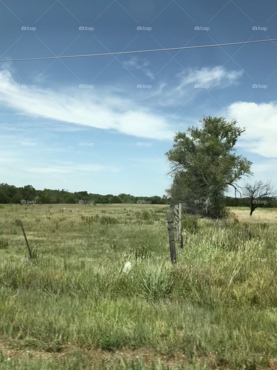 Lovely rural field in Kansas