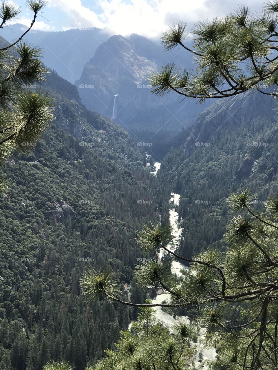 Yosemite National Park