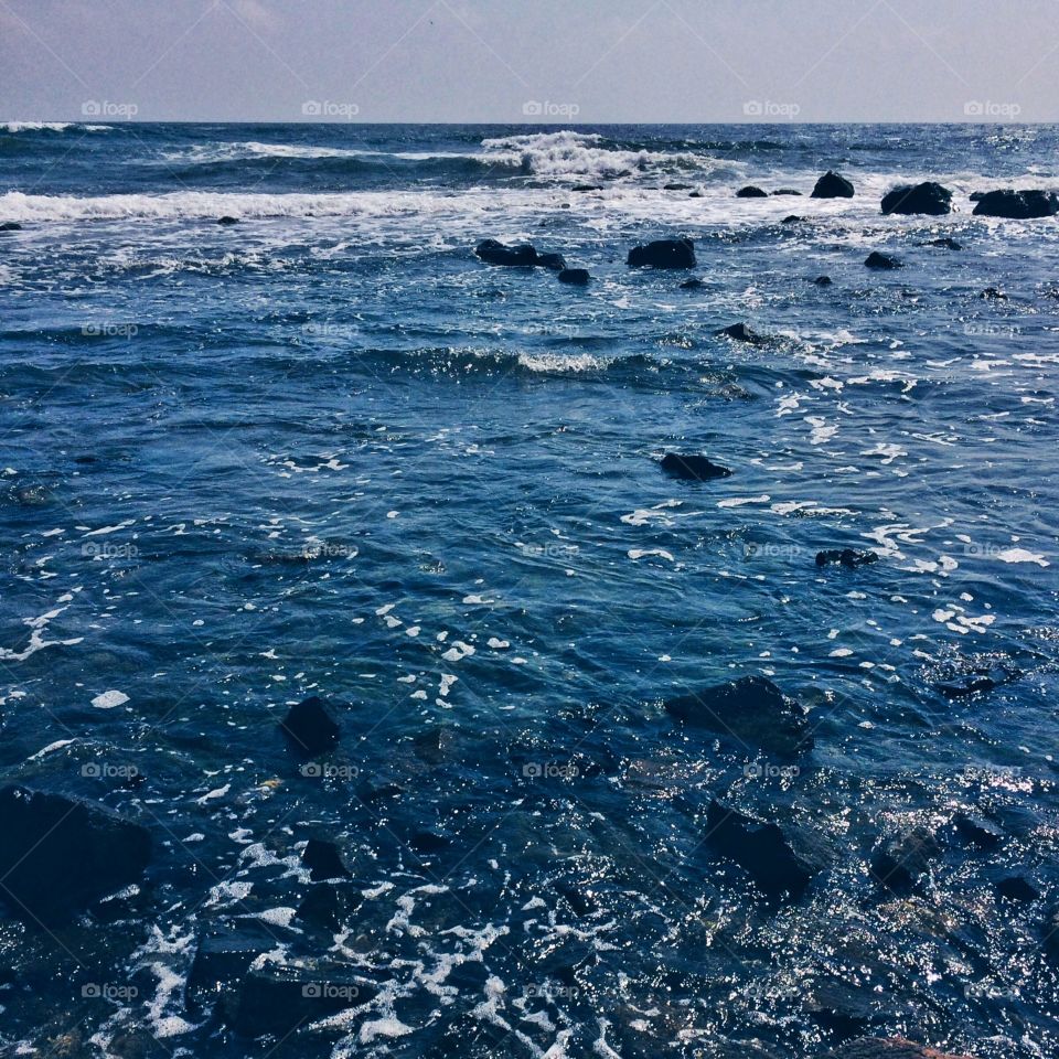 Sea