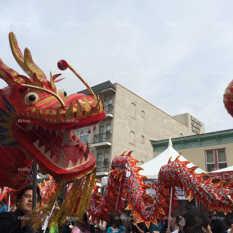 Red Chinese Dragon . Chinese New Year Red Dragon