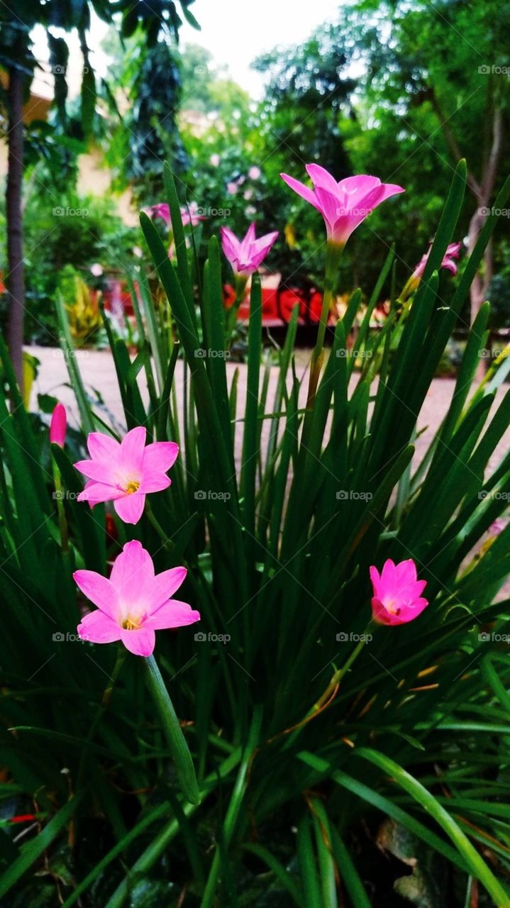 editers' choice: photo of the...