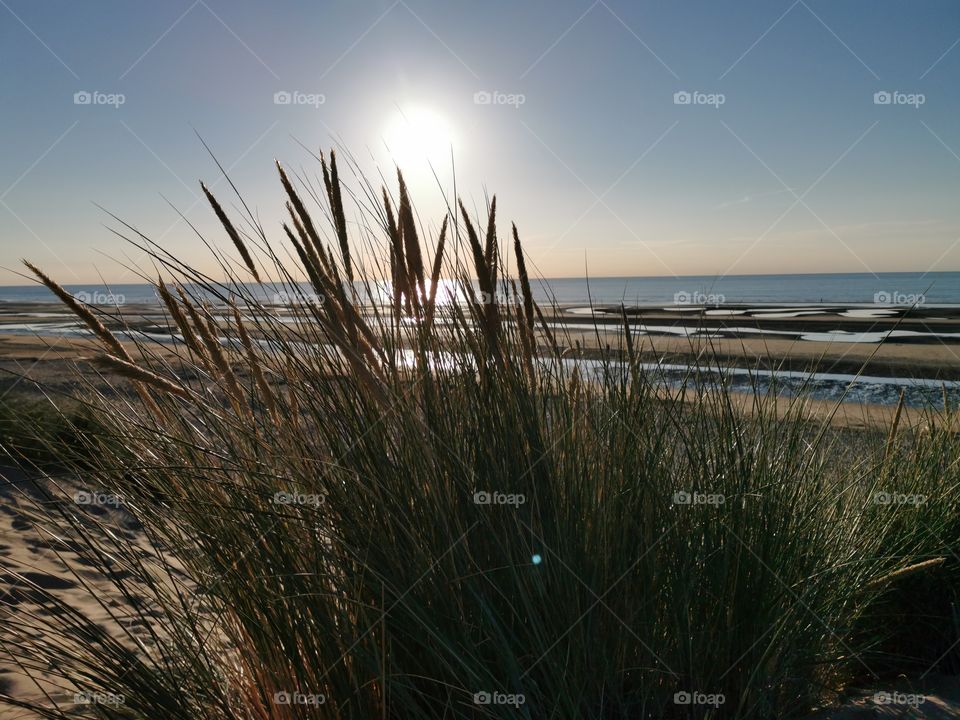 plage verdure et beau temps