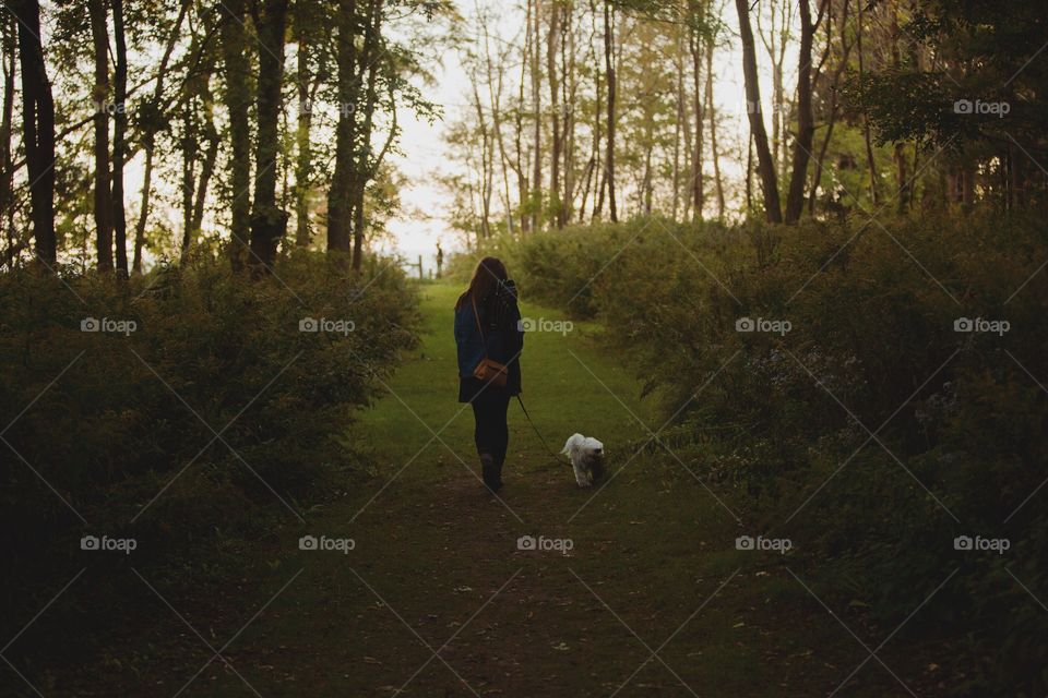 A young girl and her dog walking into a bright forest at dusk