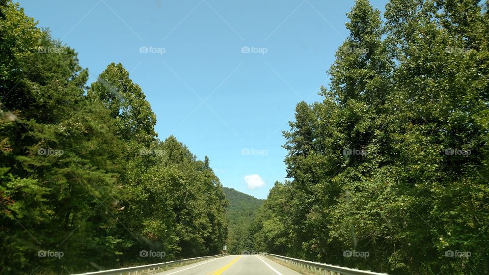 Road, Tree, No Person, Nature, Guidance