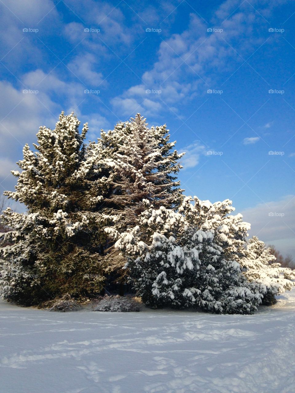 Winter park in Poland 