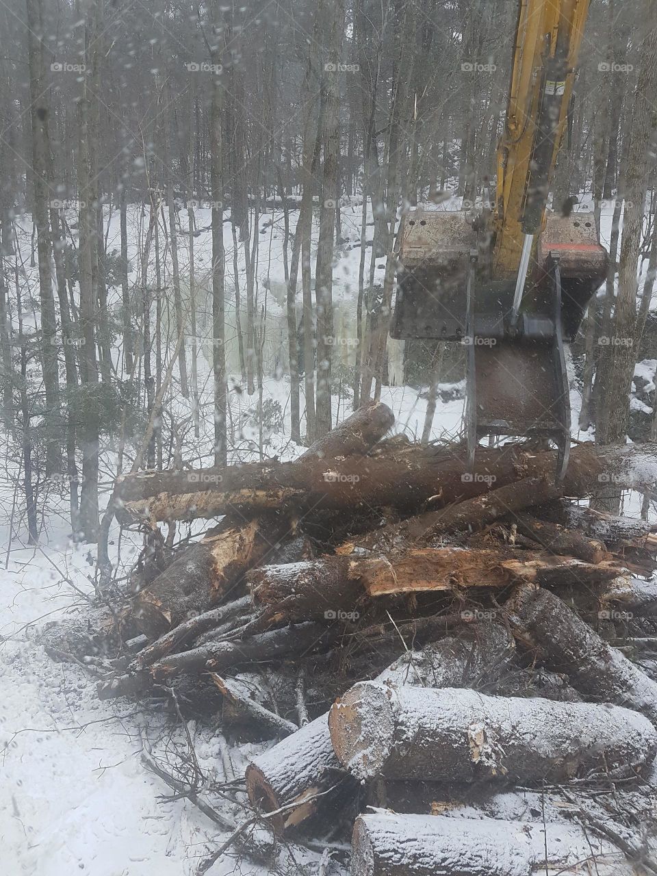 Winter, Snow, Storm, Weather, Tree Log