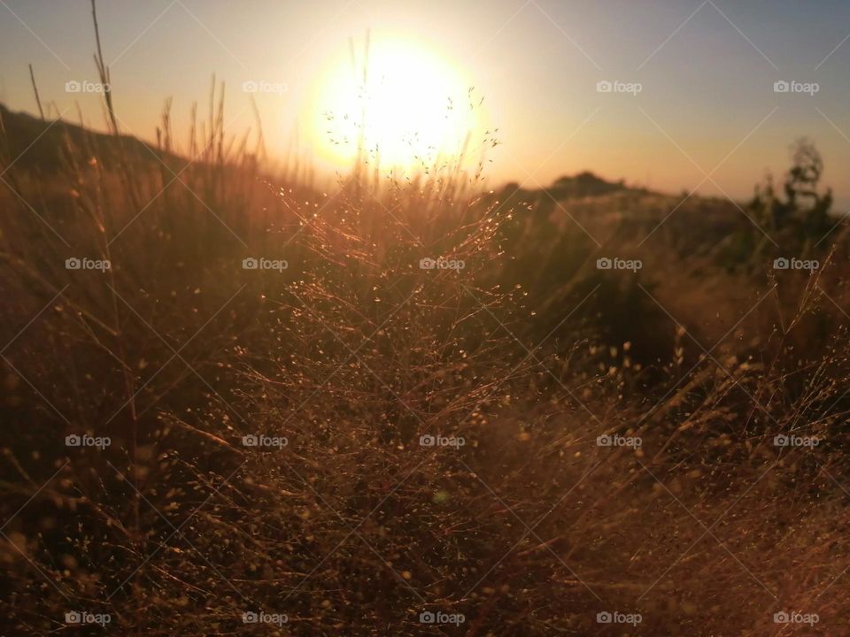 Sunset by the Nature