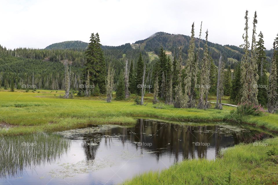 Lake in a green valley 