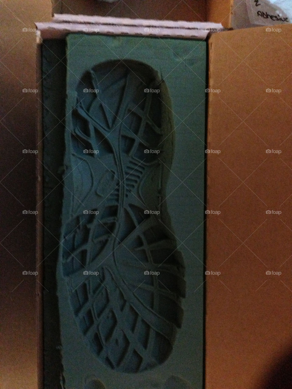 Shoe print mold, police