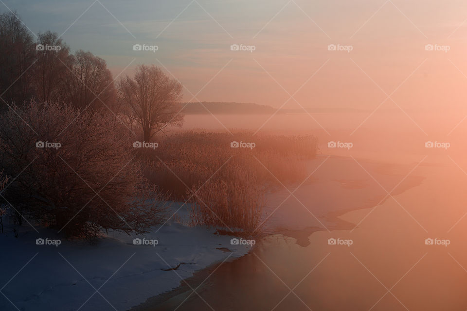 Pink light winter morning