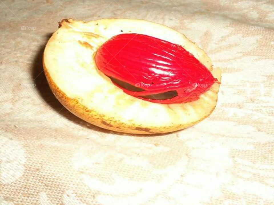 nutmeg fruit