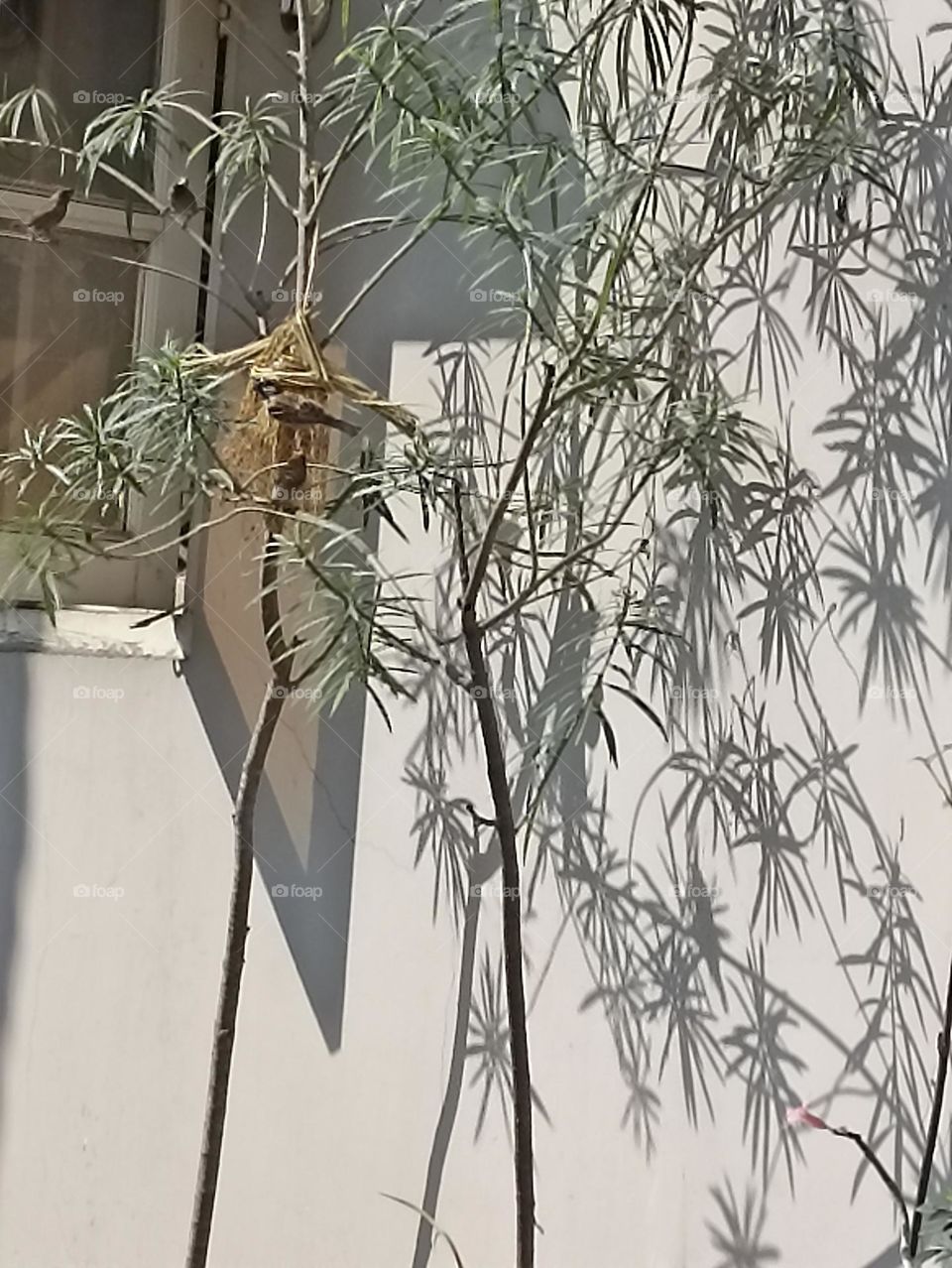 it's party time enjoy