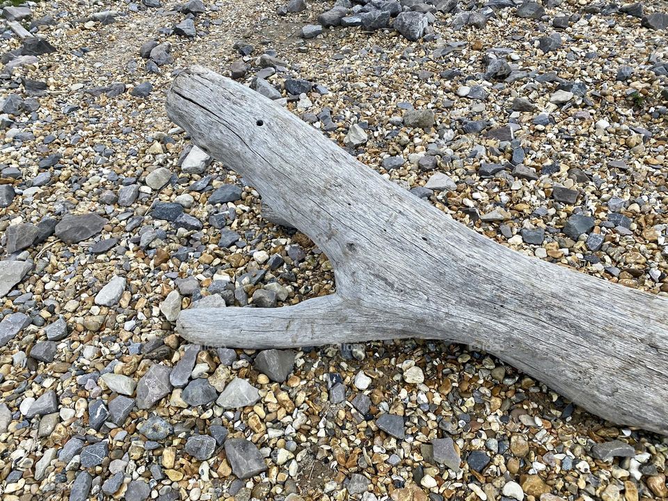 Wood on the beach