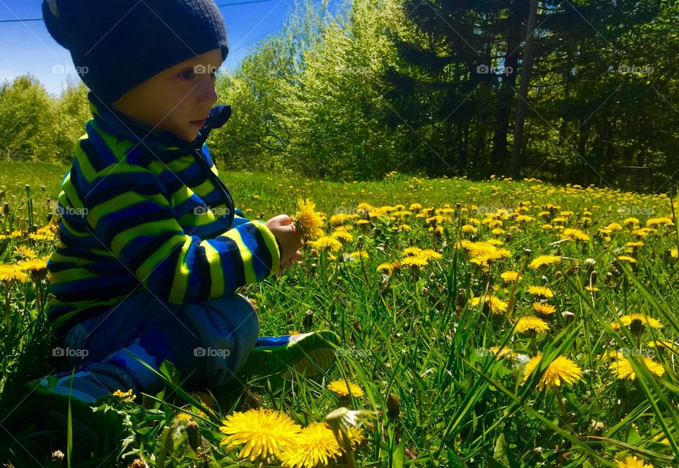 Cute baby sitting on flower filed