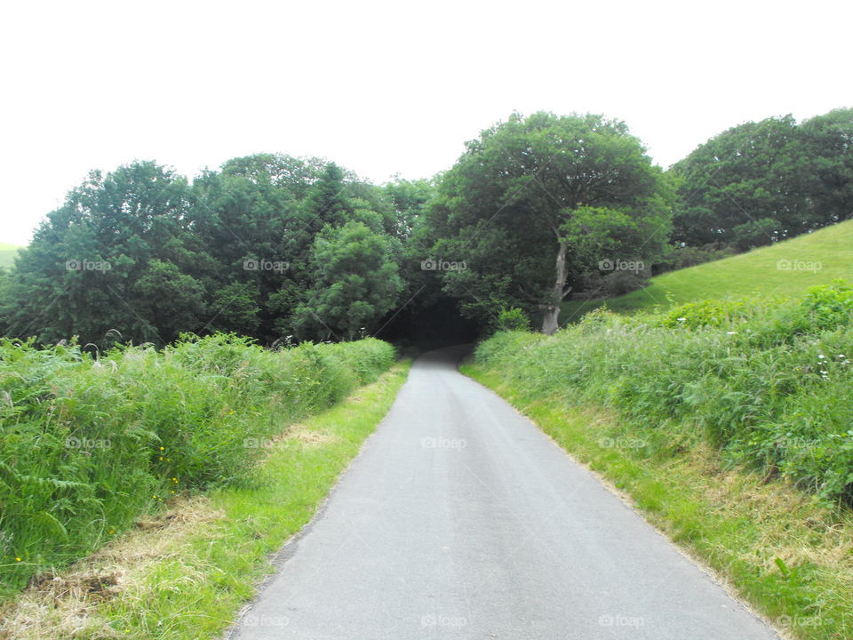 a small country road