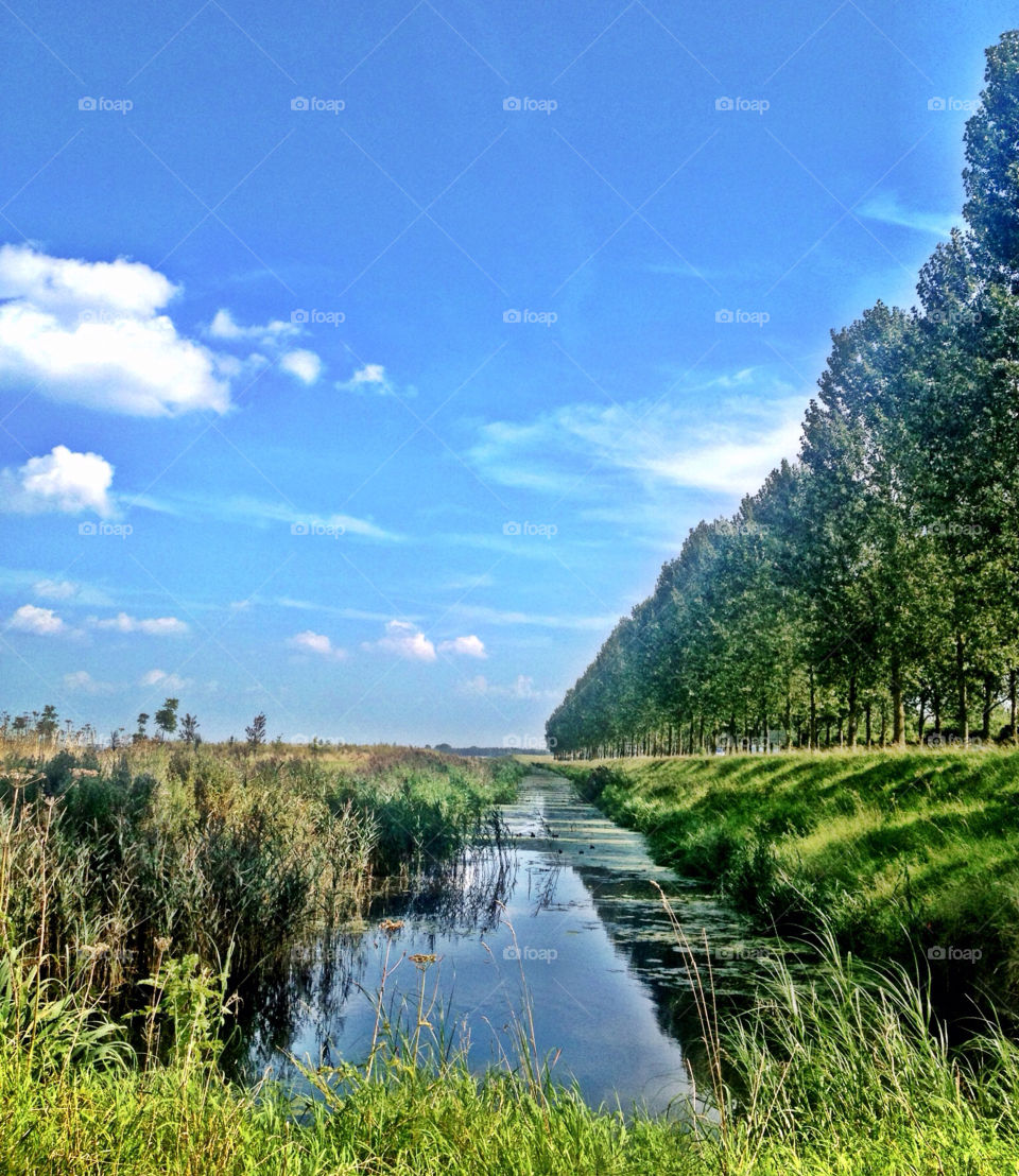 the netherlands holland haarlemmermeer by patrickholland