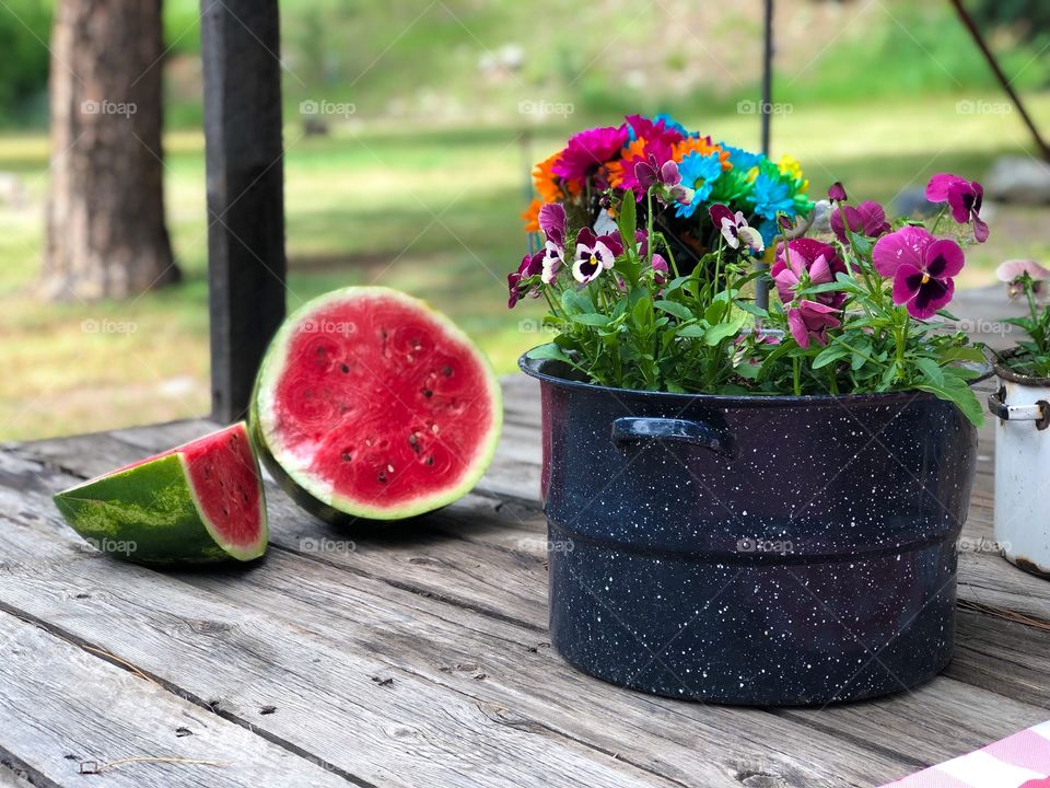 Watermelon picnic