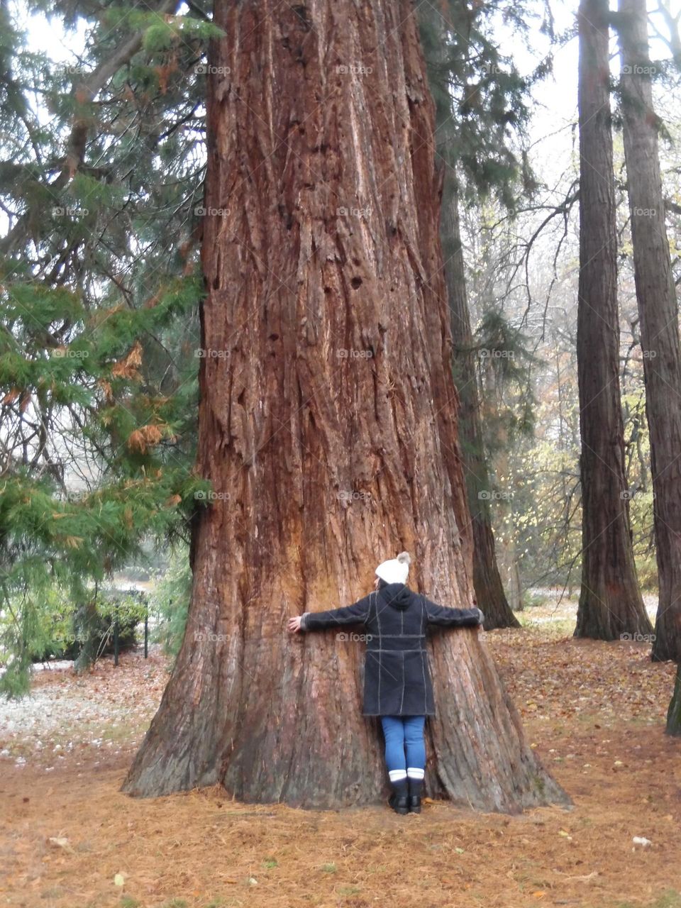 Parc de Mariemont , la Louvière