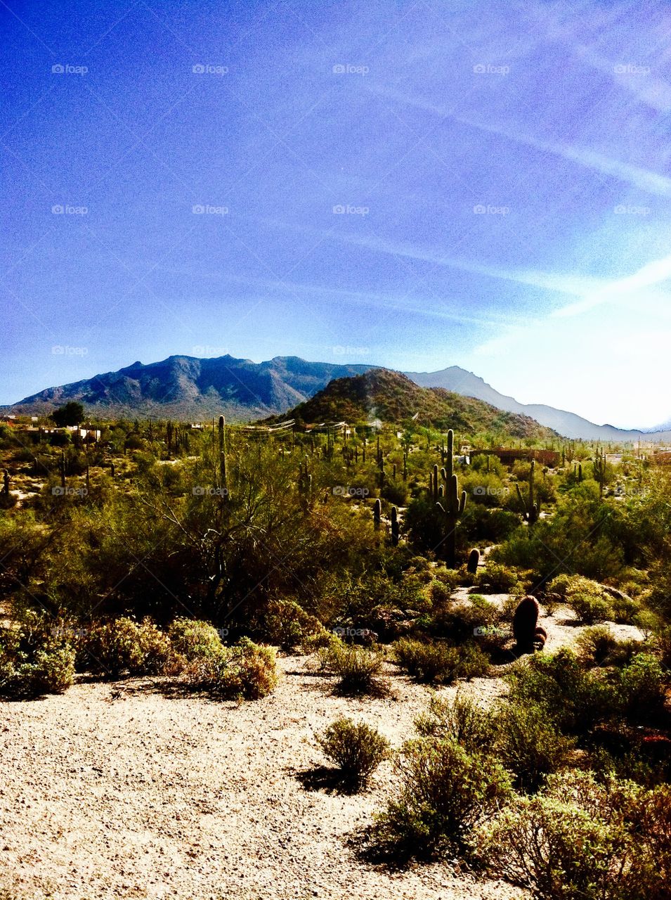 Desert travel