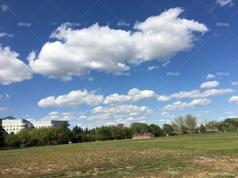 No Person, Landscape, Grass, Tree, Sky