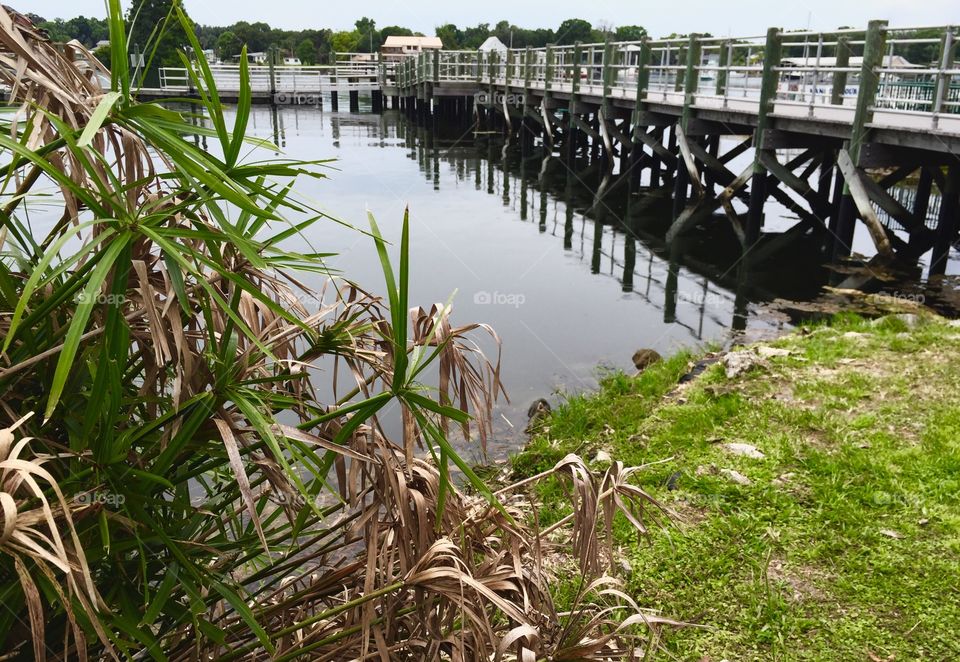 Dock on the Smooth Water. Dock and reflection on glassy water with fern in foreground.  