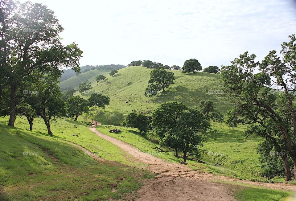 Sunny day. Landscape 