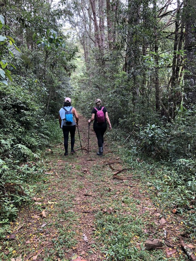 Trilha do Ouro. Parque nacional da Serra da Boicana. 