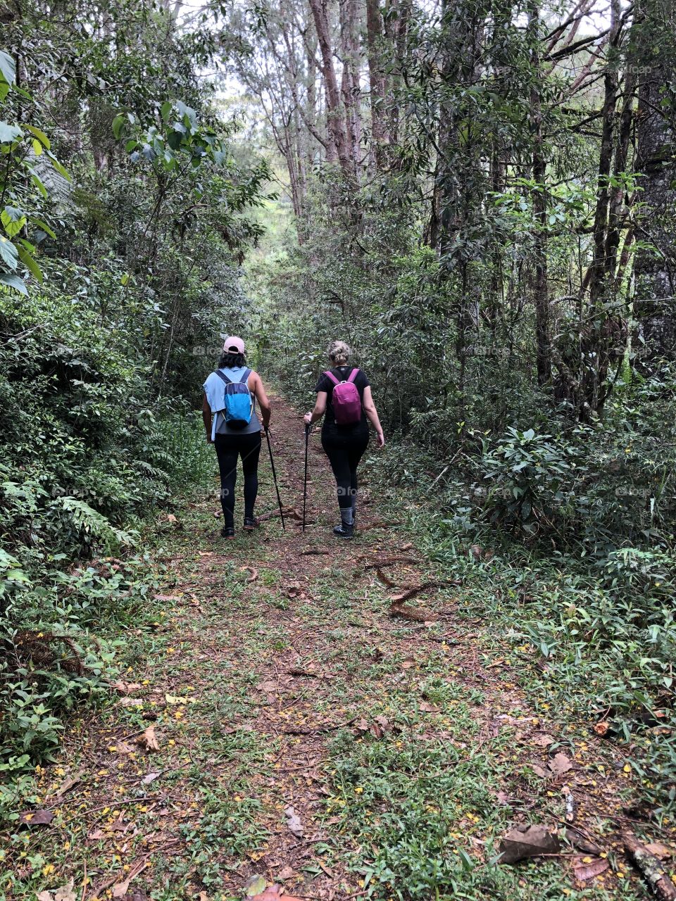 Trilha do Ouro. Parque nacional da Serra da Boicana. 