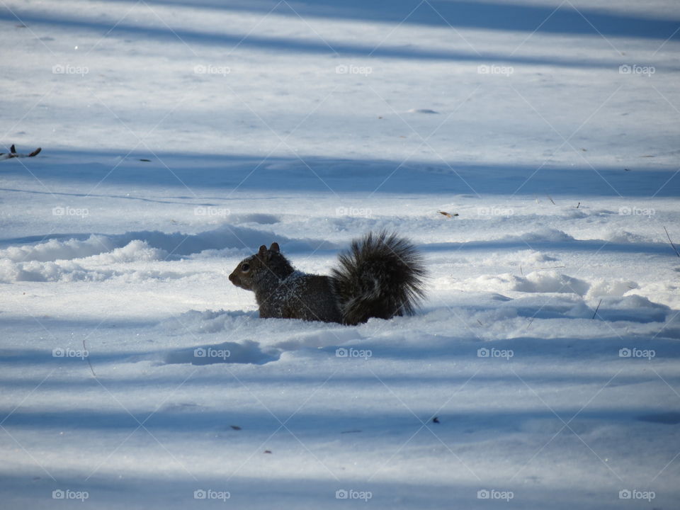 Snow fun